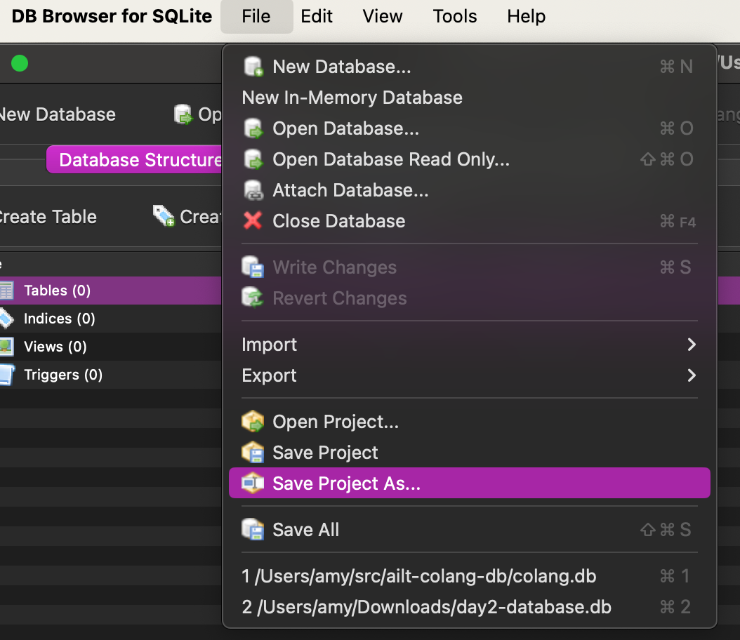 save project as dialog of db browser