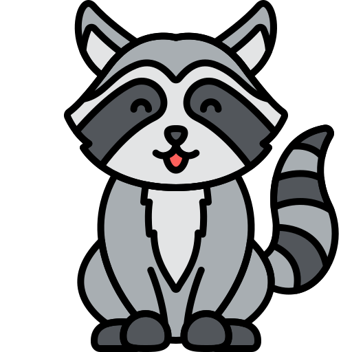 raccoon